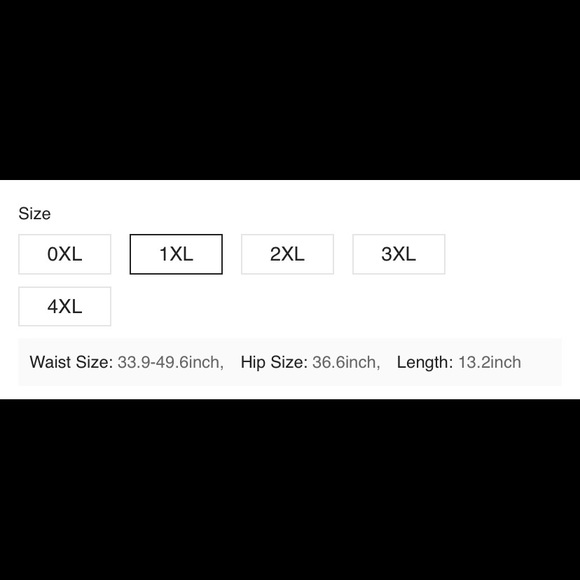 SHEIN high-waisted bikini bottoms 1X - Picture 4 of 4